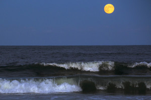 Waves and Moon