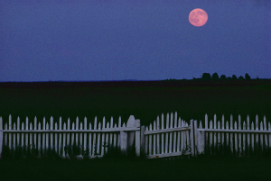 Moon over Smith Fence