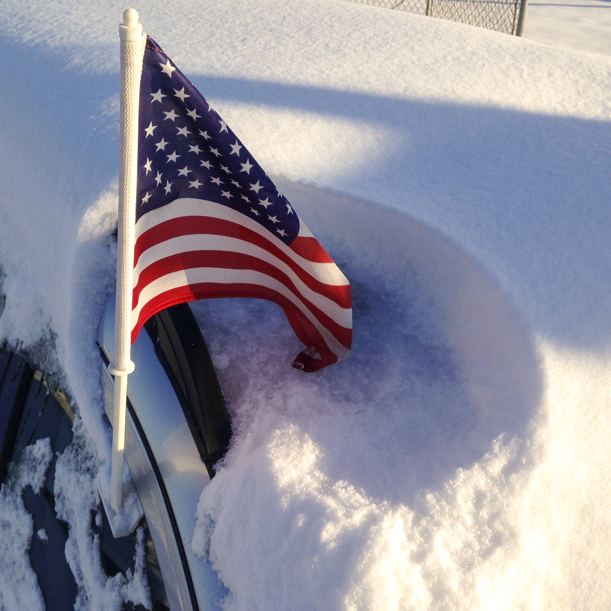 Flag in Snow